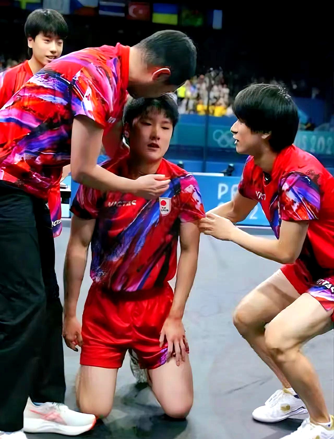 日本队翻盘波兰队，张本智和状态火热