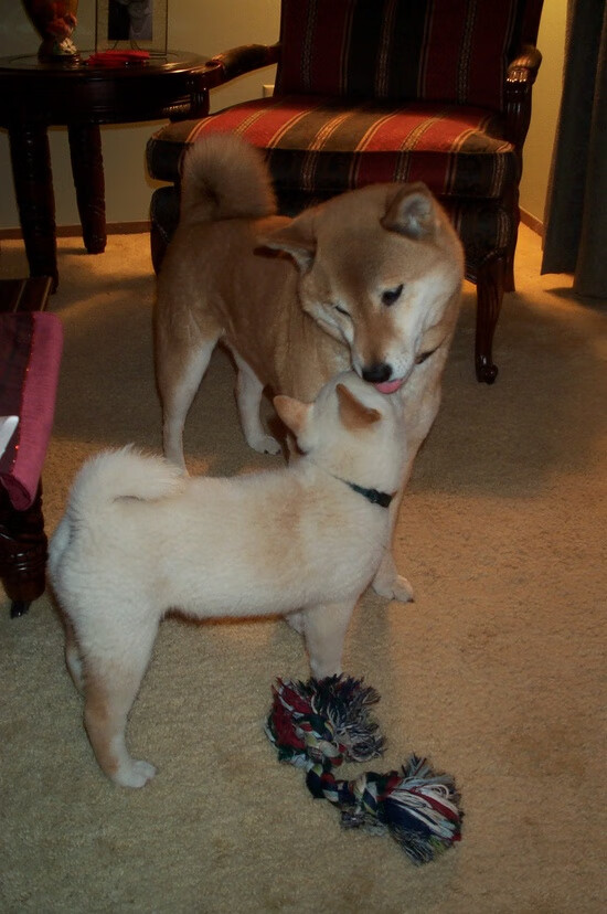 克莱关键制胜，活塞决胜局带走灰熊