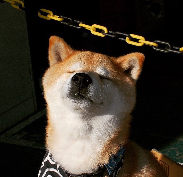 丈量唯一性的两种标尺