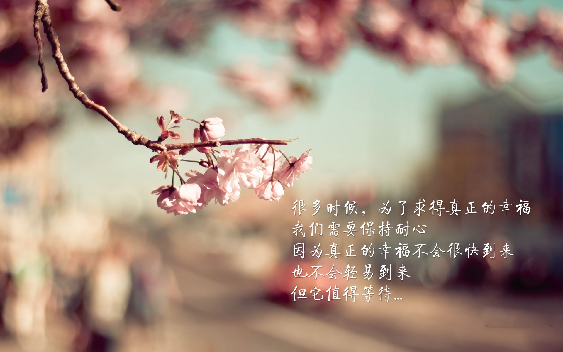 开云体育2026-最后一舞，拉梅洛·鲍尔在活塞生死战中谱写的决胜乐章