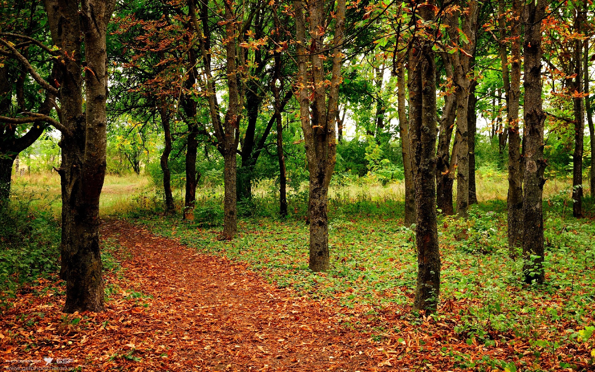 最后一舞，拉梅洛·鲍尔在活塞生死战中谱写的决胜乐章