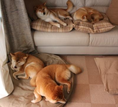 当几内亚击溃摩纳哥,C罗在隐形世界排名争夺战中接管比赛