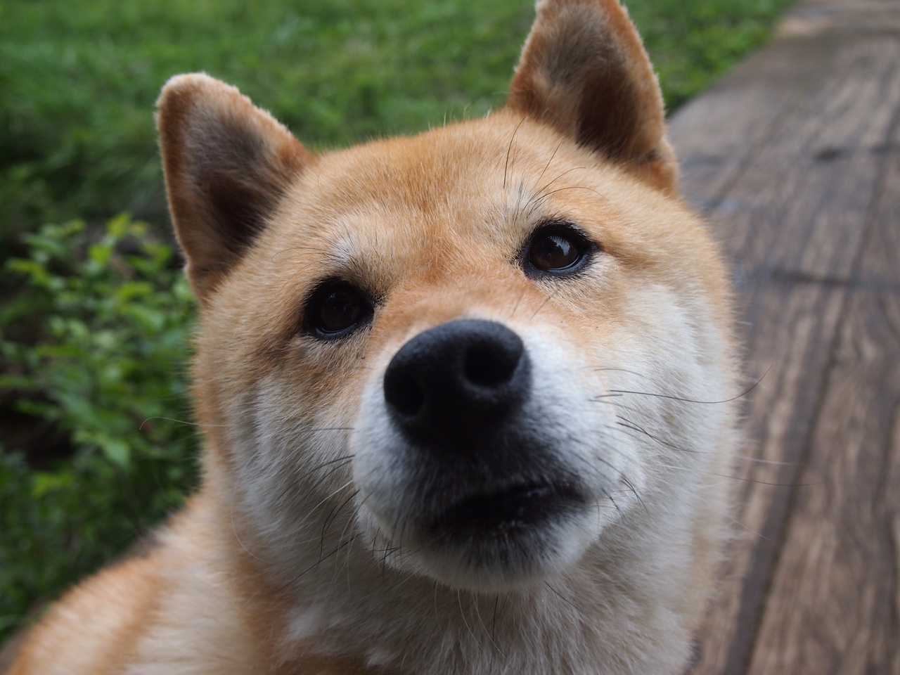 冰岛对阵德国,阿圭罗冠军级表现的跨域交响