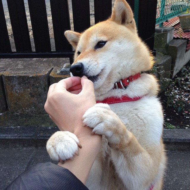 开云体育2026-绝境天外飞仙！老将穆勒一锤定音，厄瓜多尔压哨绝杀伊朗