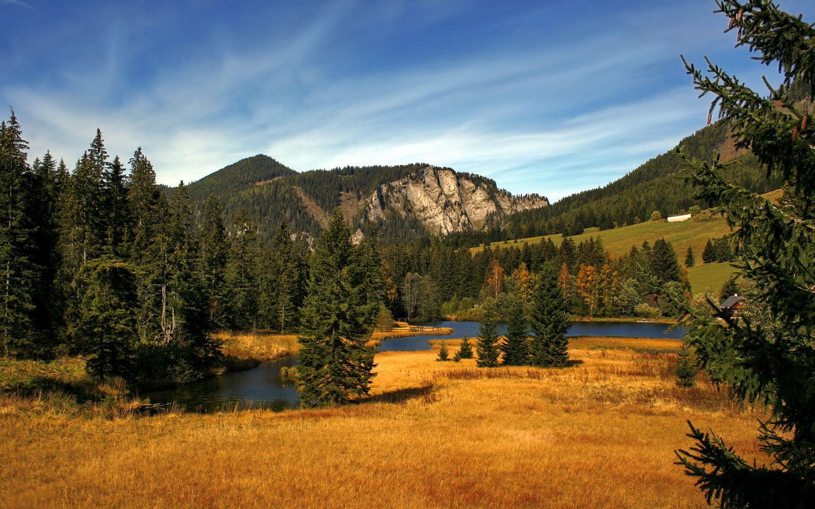 当青春风暴席卷绿军荣耀，爱德华兹的封神一役