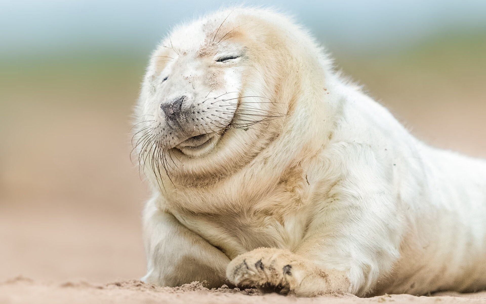 虚构的终场哨，一场从未发生的足球史诗