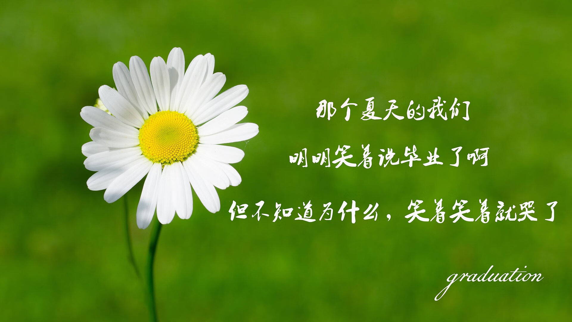 首先，我们来扩展思维，创作一个能抓住眼球、引发思考的文章标题