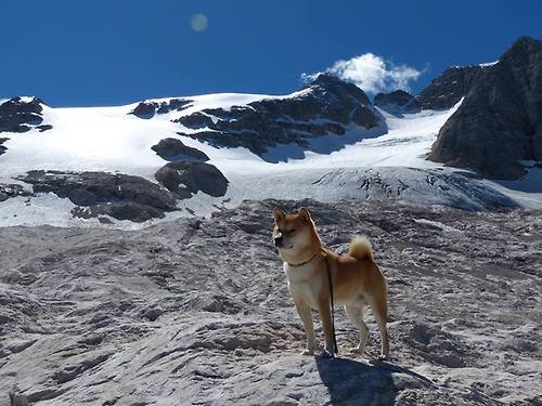 沉默的轴心，当德容用反向直觉撕裂H组的天平